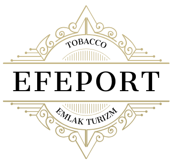 EFEPORT